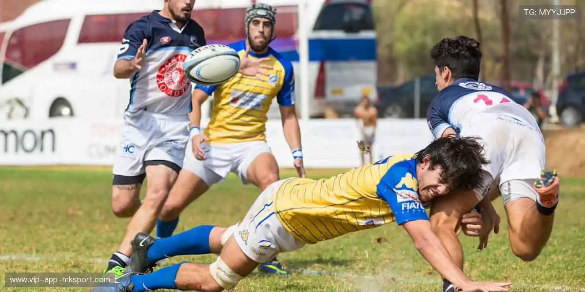 👟品质护航，你的运动生活新伙伴！✨